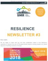 Joint Resilience Newsletter #3