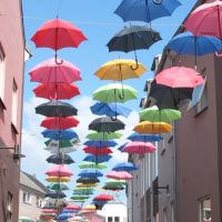 European Open Day at Bonn Resilient Cities launched for 2016