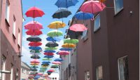 Programme for Open European Day at Bonn Resilient Cities now available