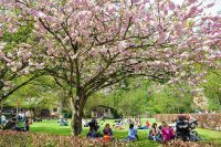 Open European Day to put cities centre-stage to work together on adaptation